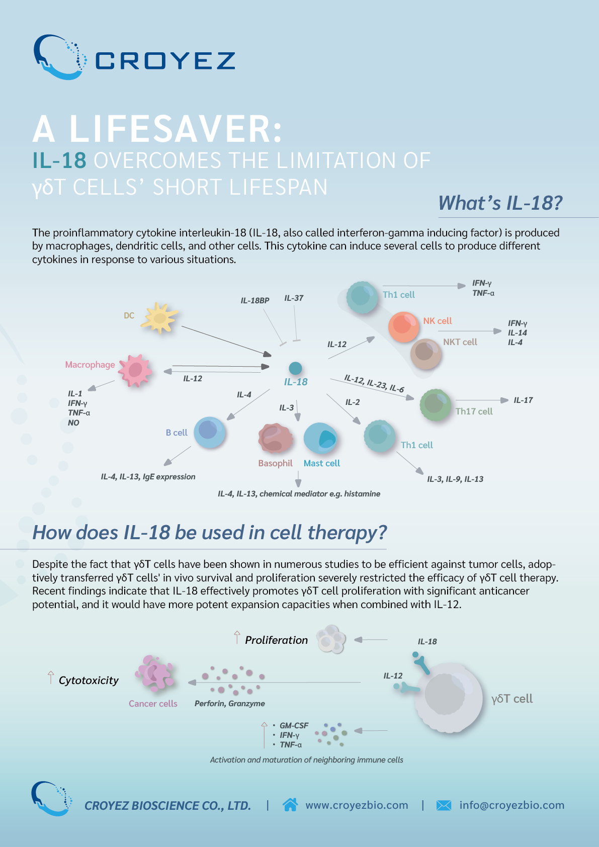 GMP Recombinant Protein IL-18